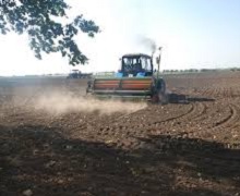 Ярі зернові в Україні посіяно на 6,4 млн га